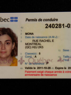 Permis De Conduire Canadien