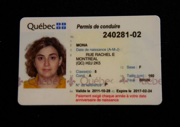Permis De Conduire Canadien