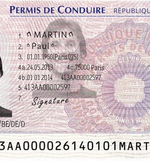 Permis De Conduire Français